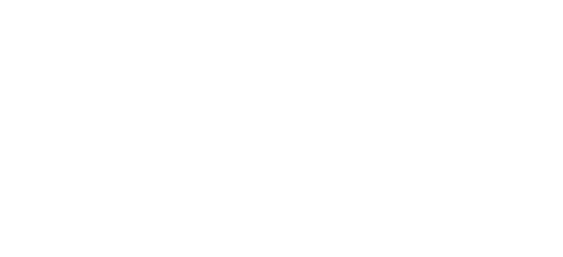 로고타입 반전형